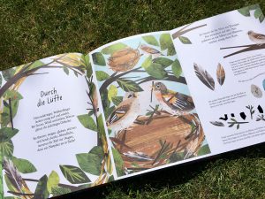 Reise durch die Natur - Ein Guckloch-Buch von Clover Robin und Libby Waldon