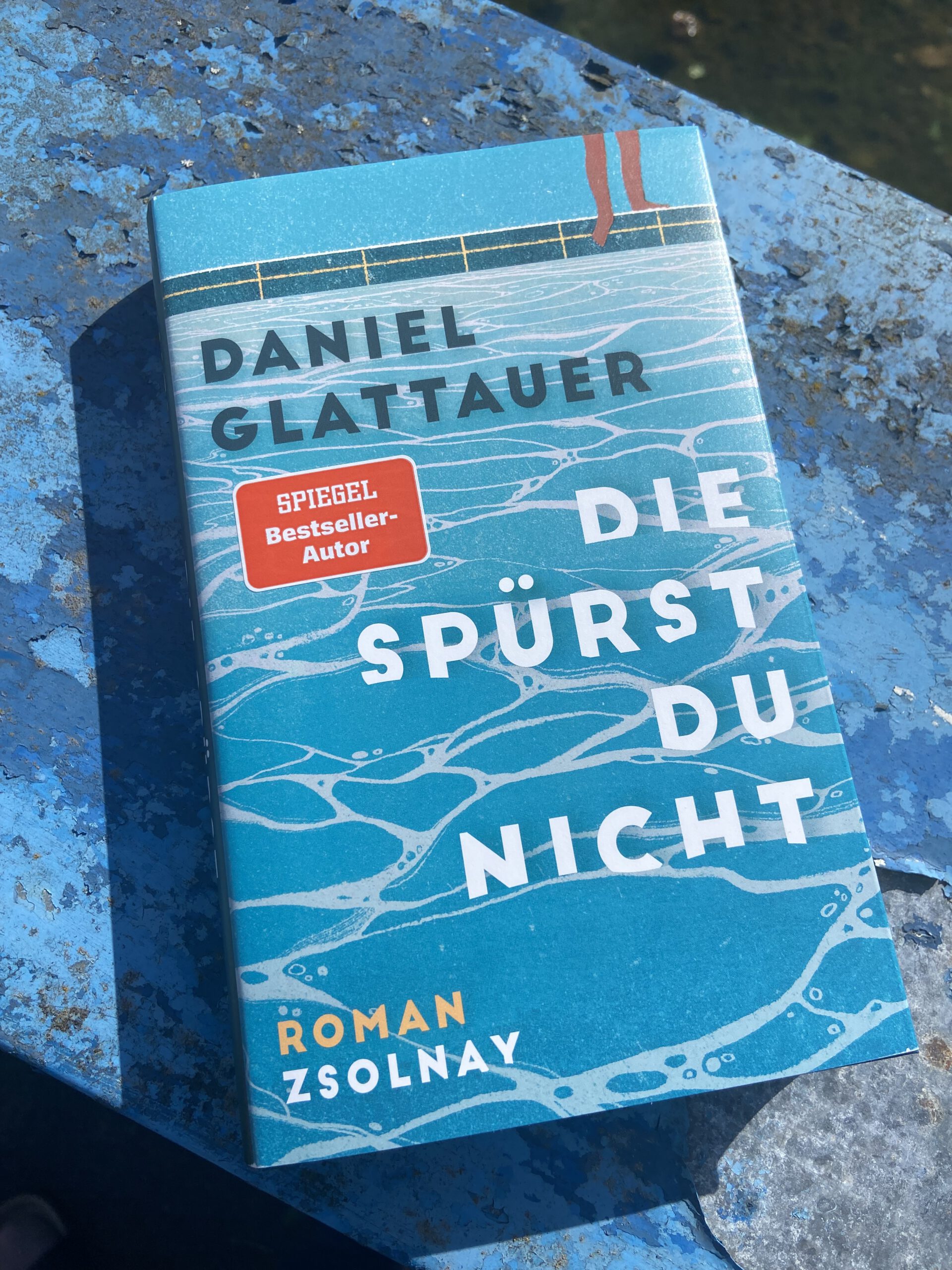 Daniel Glattauer Die Sprst Du Nicht